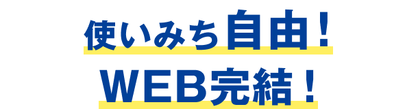 使いみち自由 WEB完結